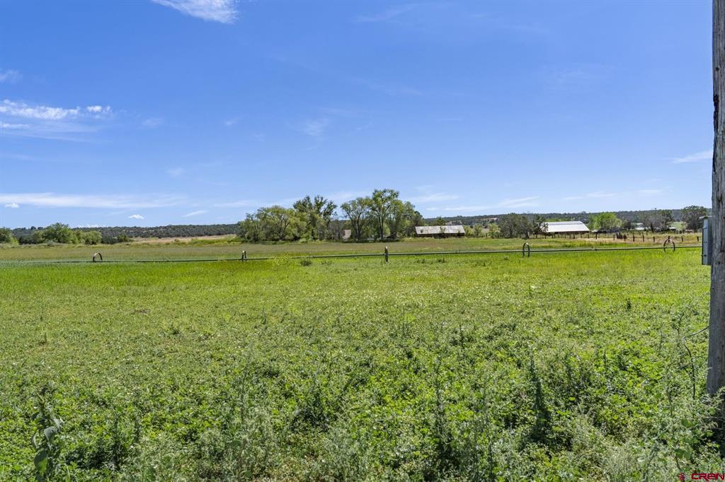 Tbd S Hwy 550 Property Photo 11