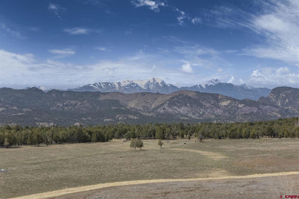 Tbd S Hwy 550 Property Photo 27