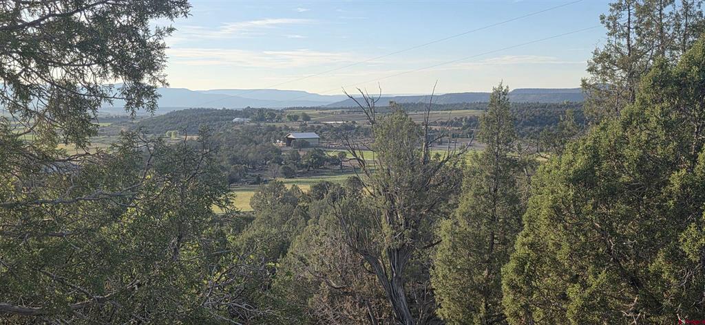 Tbd Cr 329 Property Photo 3