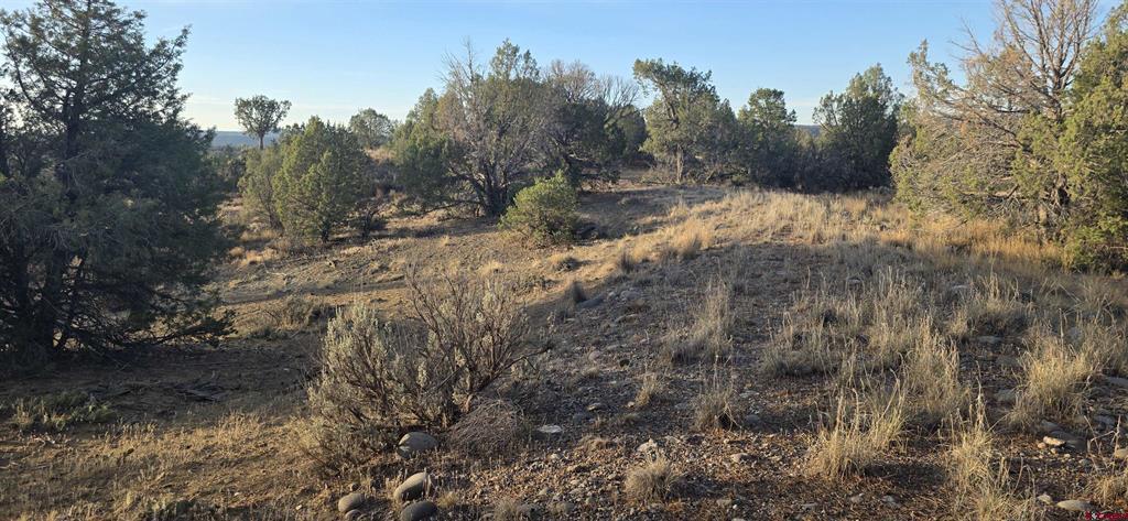 Tbd Cr 329 Property Photo 5