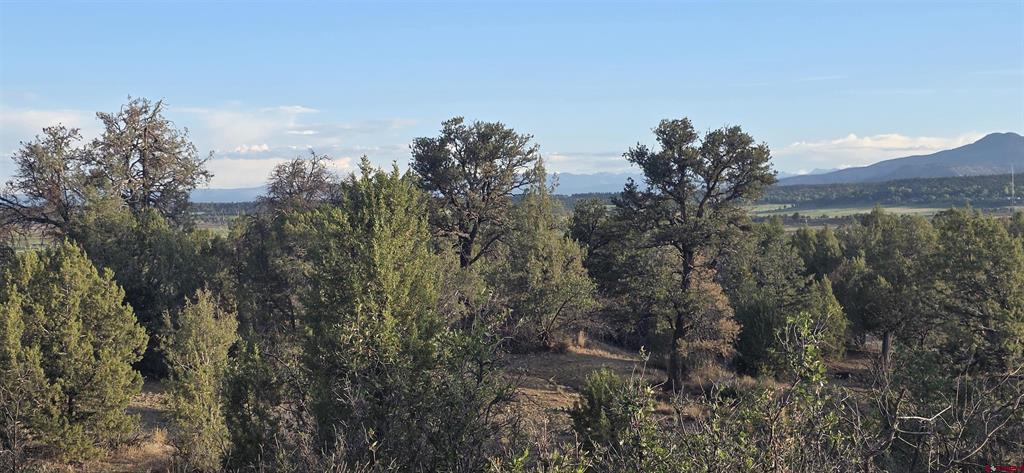 Tbd Cr 329 Property Photo 6
