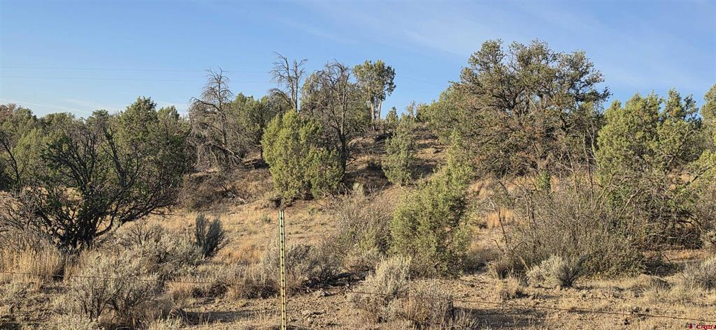 Tbd Cr 329 Property Photo 8