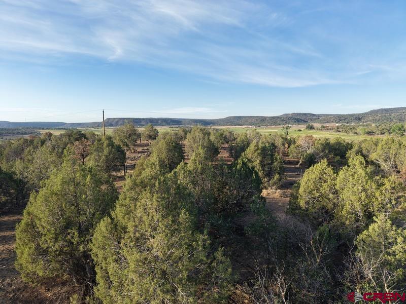 Tbd Cr 329 Property Photo 12