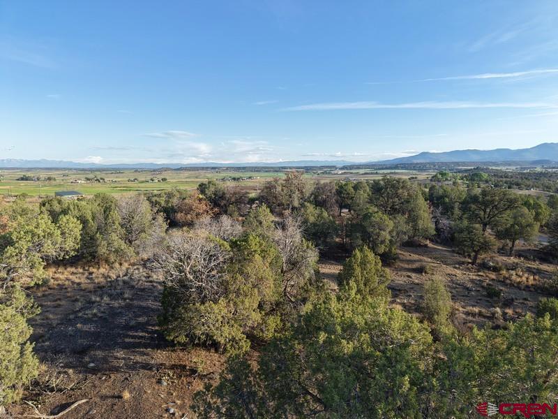 Tbd Cr 329 Property Photo 13