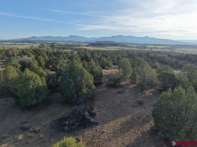 Tbd Cr 329 Property Photo 14