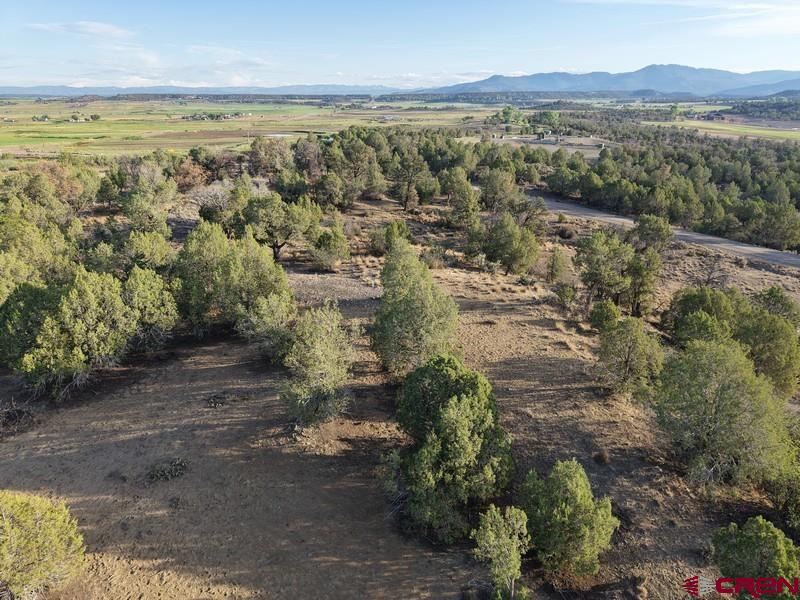 Tbd Cr 329 Property Photo 15