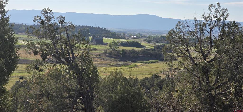 Tbd Hwy 151 Property Photo 3