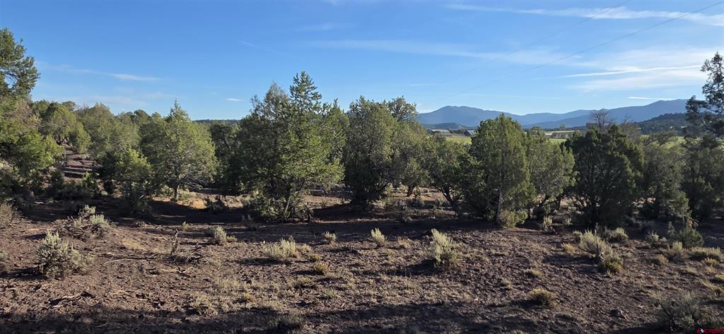 Tbd Hwy 151 Property Photo 7