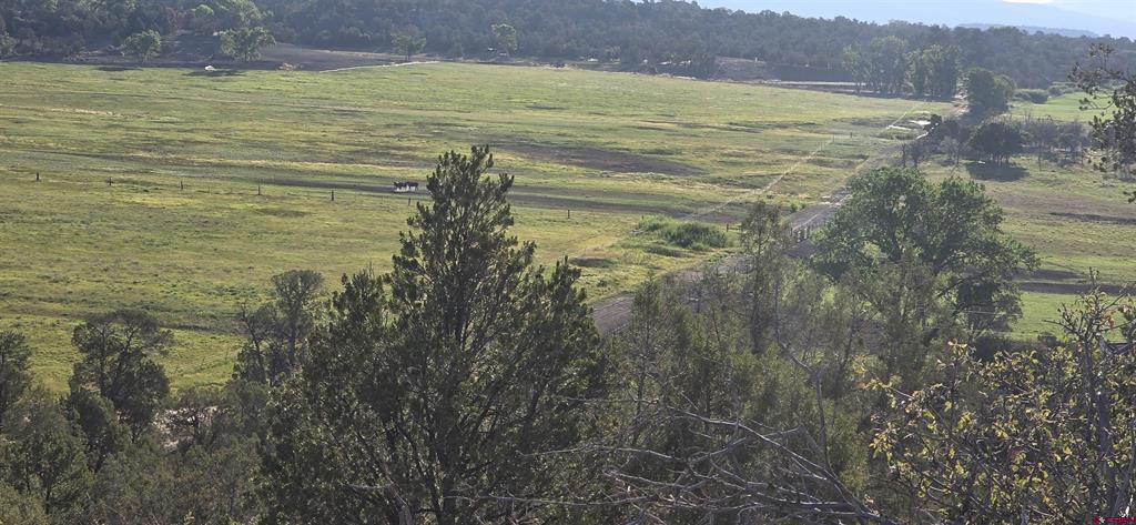 Tbd Hwy 151 Property Photo 13