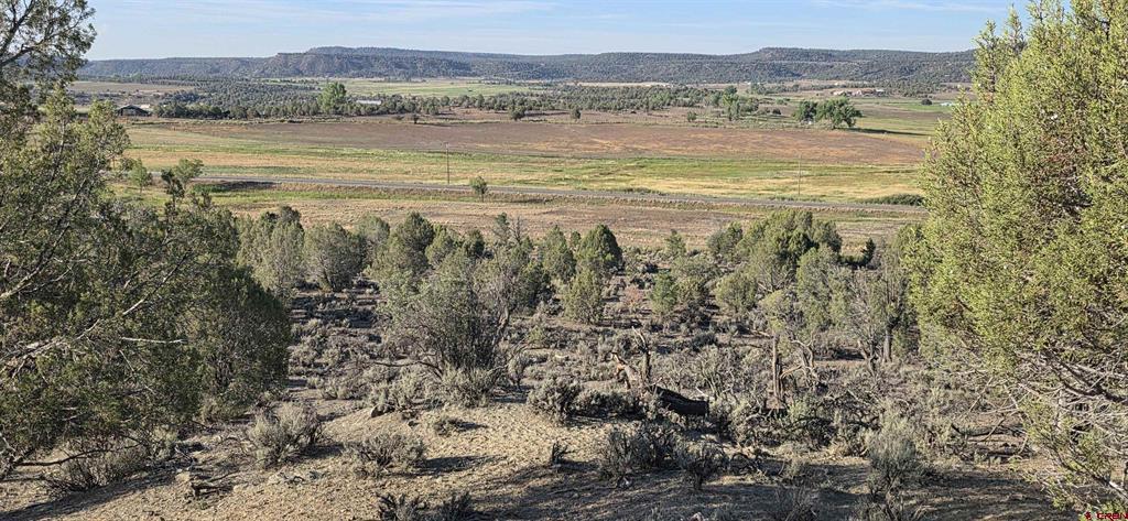 Tbd Hwy 151 Property Photo 15