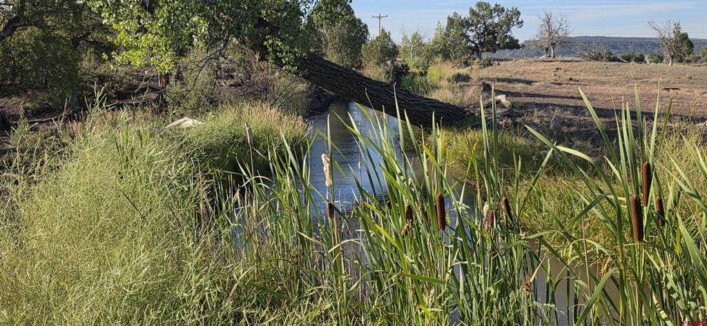 Tbd Hwy 151 Property Photo 16