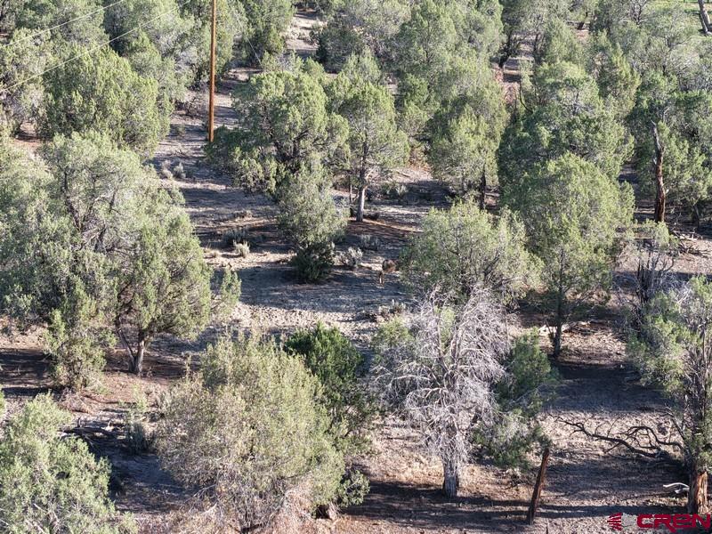 Tbd Hwy 151 Property Photo 26