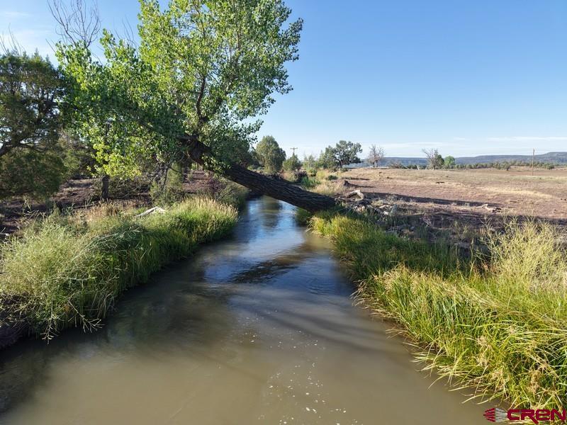 Tbd Hwy 151 Property Photo 30