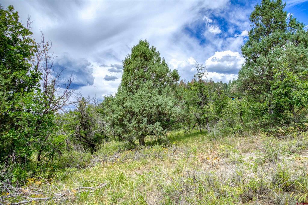 1742 Roush Drive Property Photo 14
