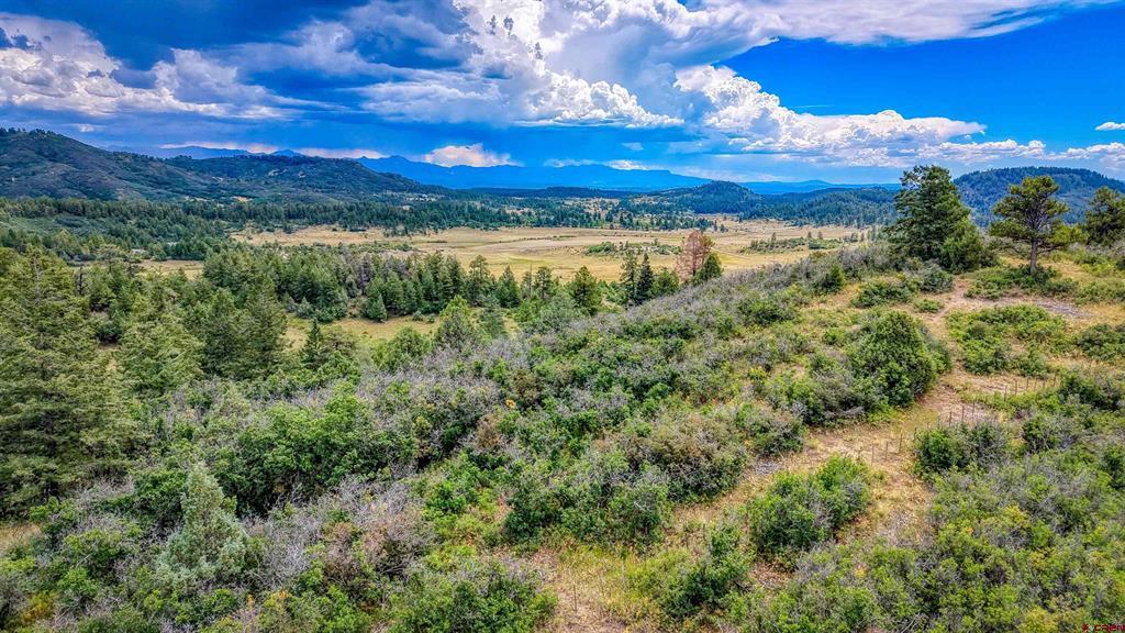 1742 Roush Drive Property Photo 19
