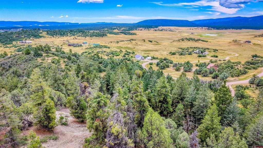 1742 Roush Drive Property Photo 22