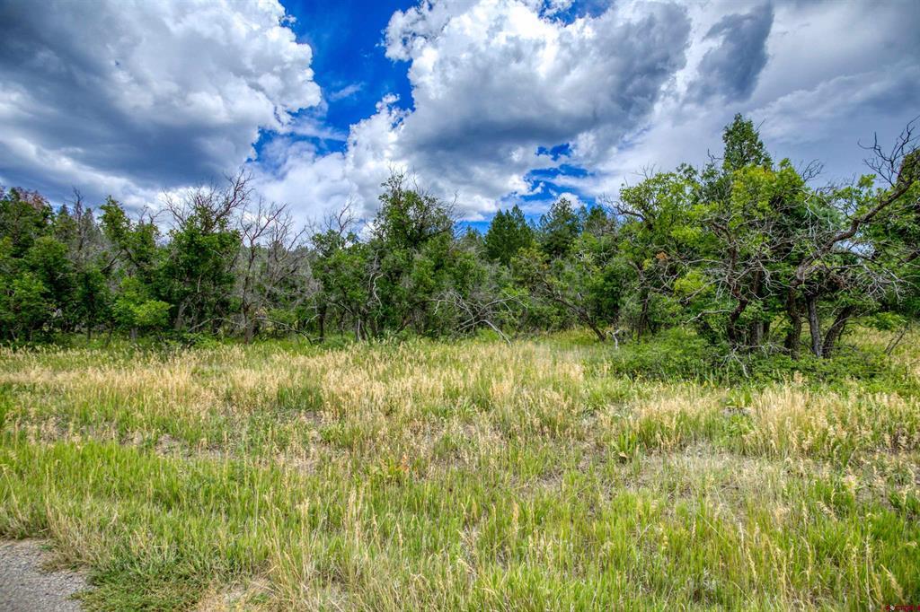 1698 & 1742 Roush Drive Property Photo 4