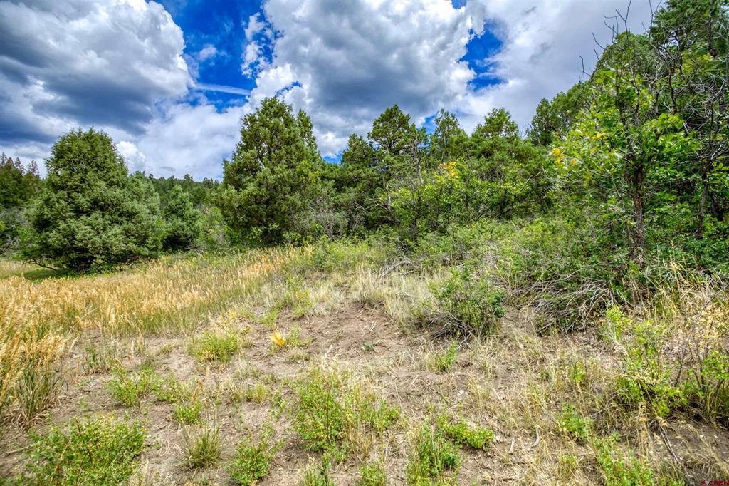 1698 & 1742 Roush Drive Property Photo 7