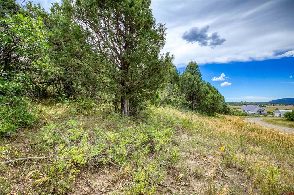 1698 & 1742 Roush Drive Property Photo 8