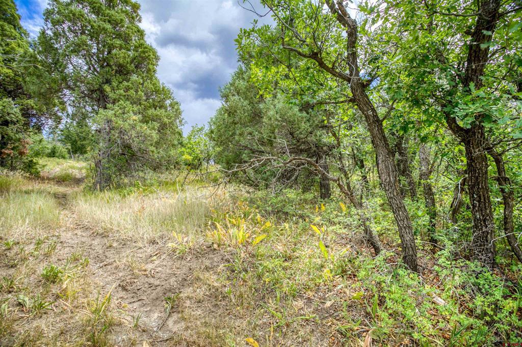 1698 & 1742 Roush Drive Property Photo 9