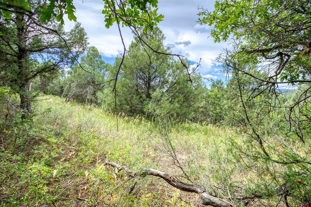 1698 & 1742 Roush Drive Property Photo 11