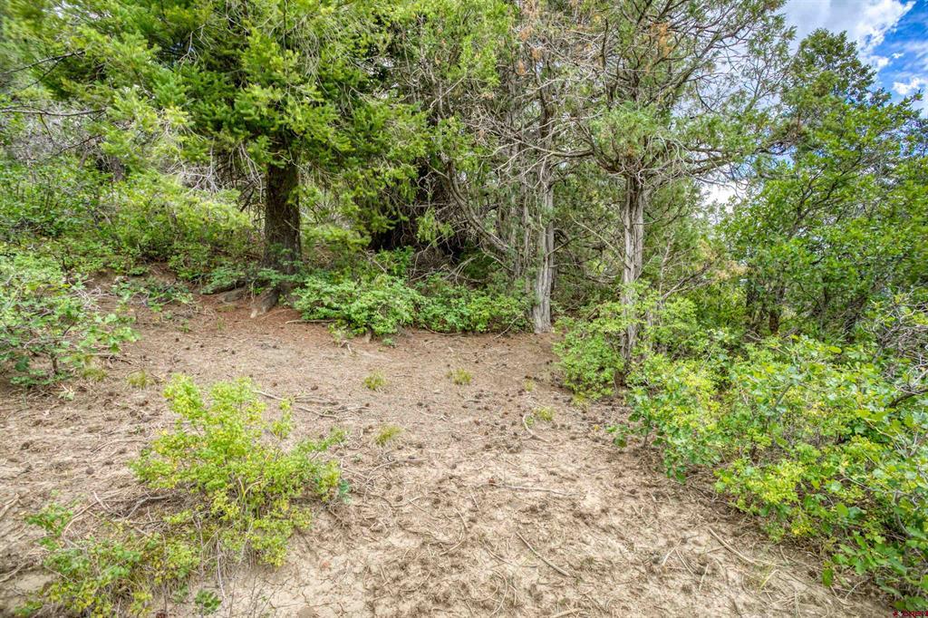 1698 & 1742 Roush Drive Property Photo 17