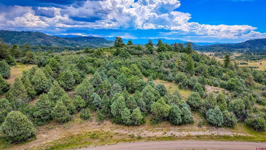 1698 & 1742 Roush Drive Property Photo 27