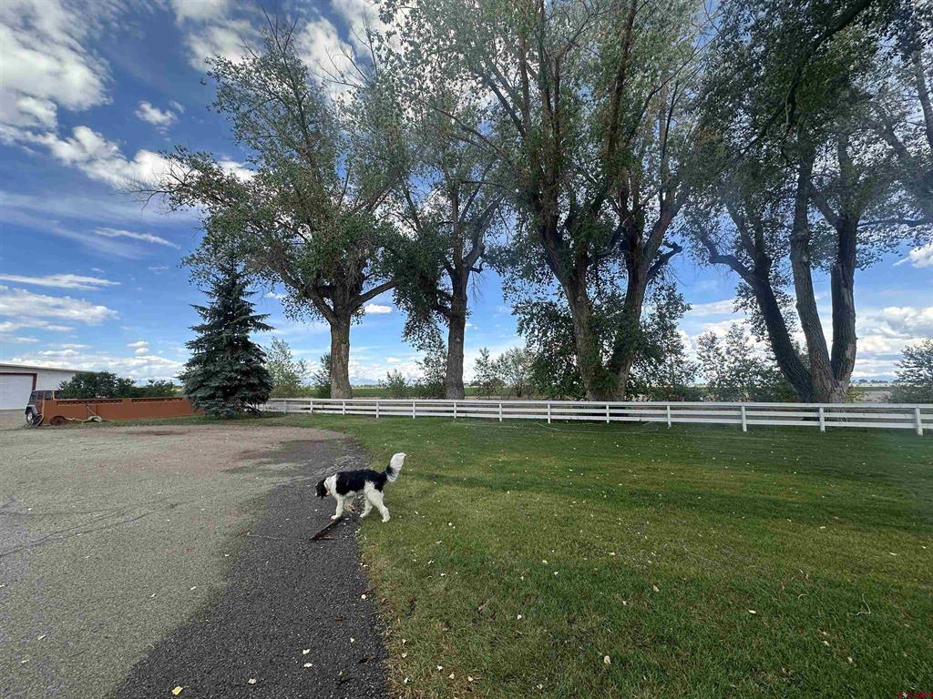 3165 Highway 160 E Property Photo 44
