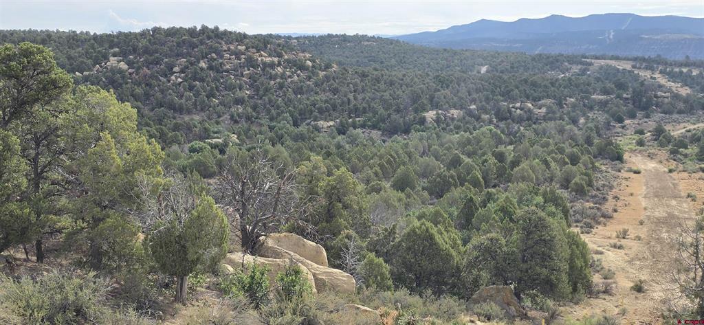 Xxx Indian Route 111 Property Photo 3