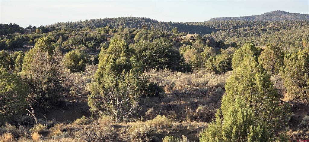 Xxx Indian Route 111 Property Photo 4