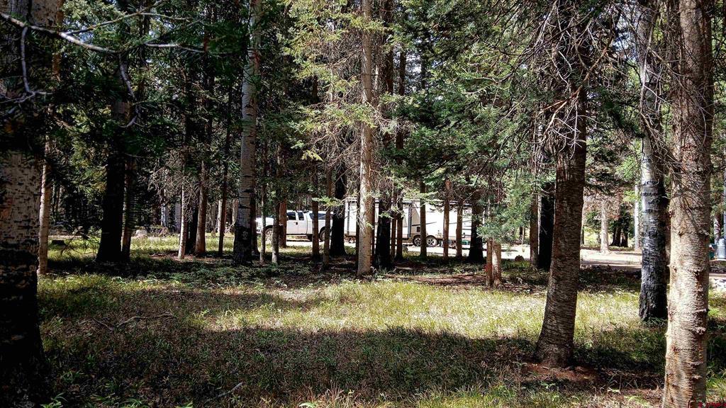 357 Wildflower Drive Property Photo 10