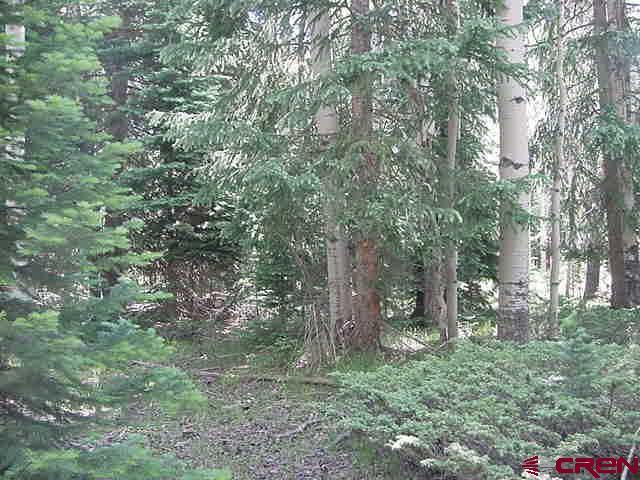 257 Wildflower Drive Property Photo 1
