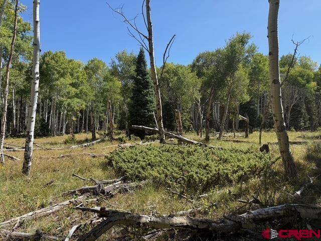 121 Ridge Road Property Photo 1