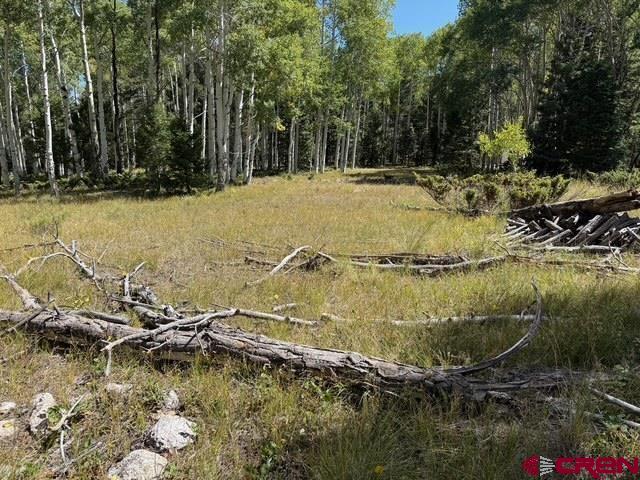 121 Ridge Road Property Photo 2