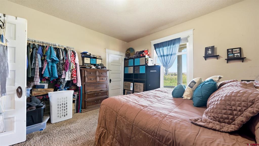1130 20 Road Property Photo 4