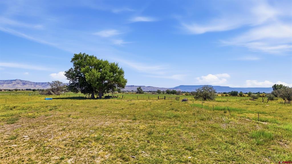 1130 20 Road Property Photo 8