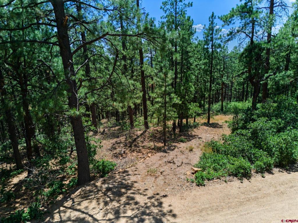 636 E Valley View Drive Property Photo 1