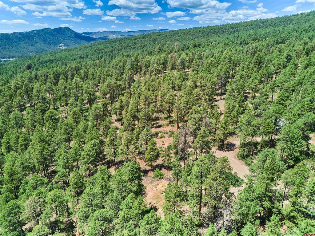 636 E Valley View Drive Property Photo 8