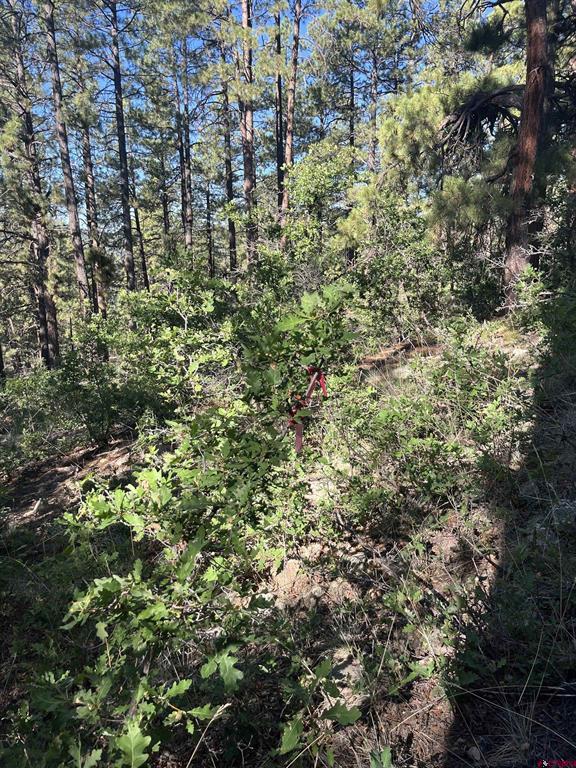 636 E Valley View Drive Property Photo 12