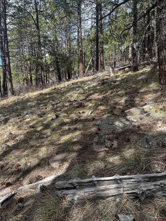 101 Pine Crest Drive Property Photo 1