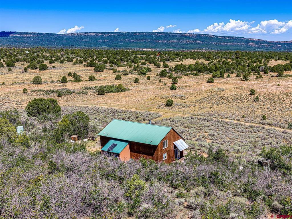 6519 Uncompahgre Divide Road Property Photo 3
