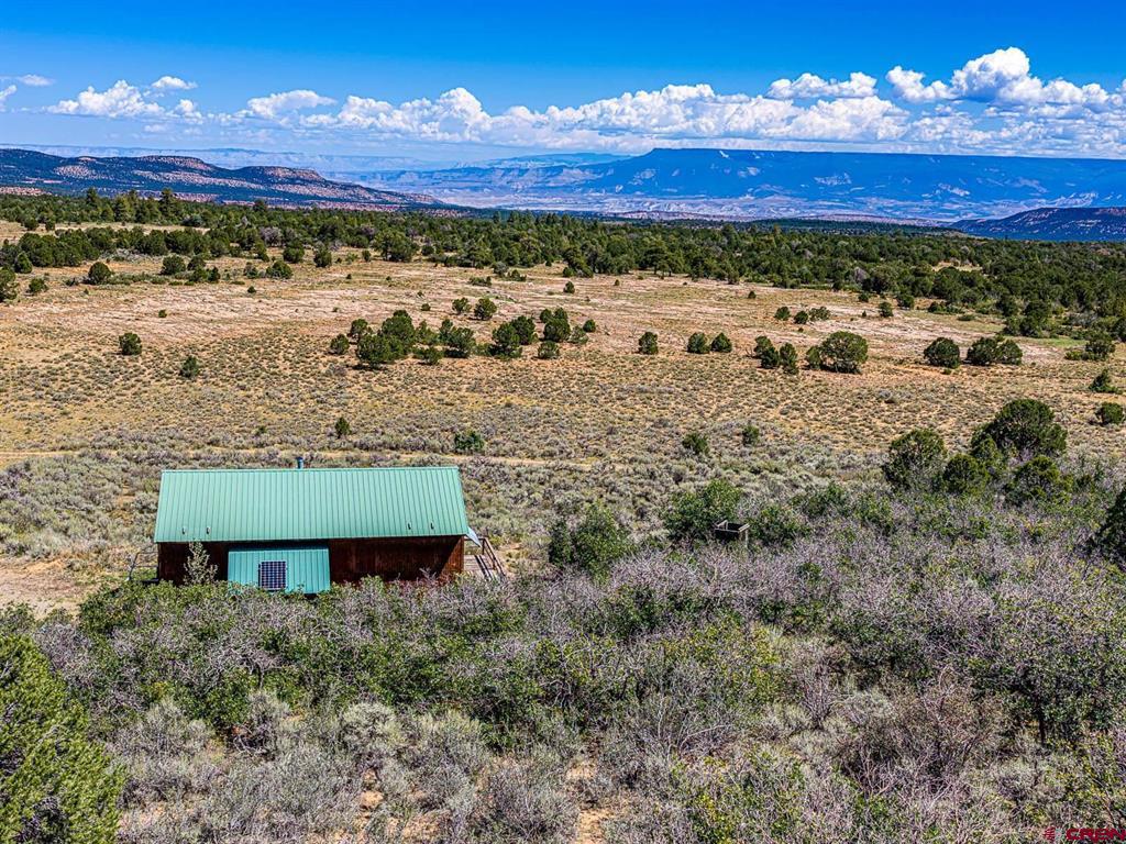 6519 Uncompahgre Divide Road Property Photo 4