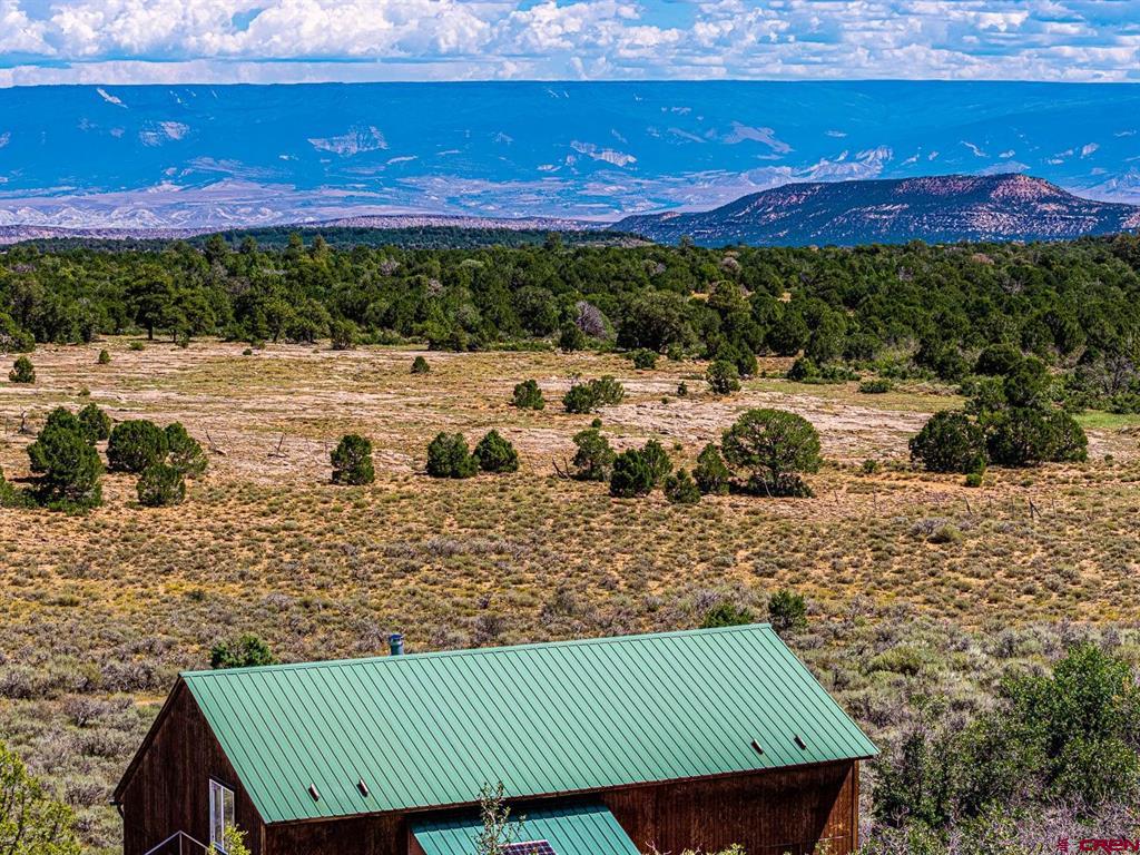 6519 Uncompahgre Divide Road Property Photo 5