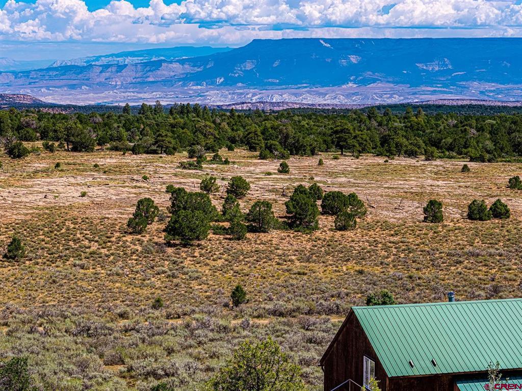 6519 Uncompahgre Divide Road Property Photo 25