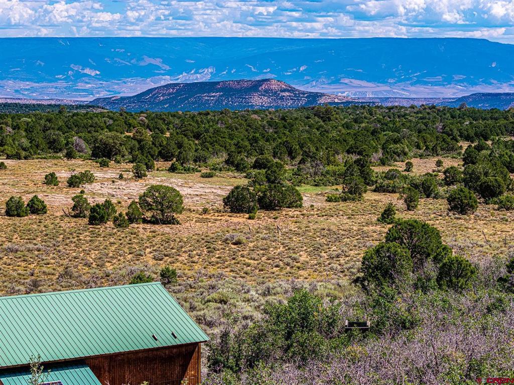 6519 Uncompahgre Divide Road Property Photo 26