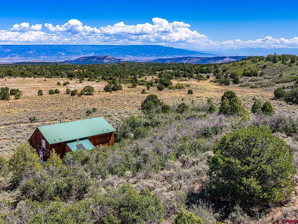 6519 Uncompahgre Divide Road Property Photo 27