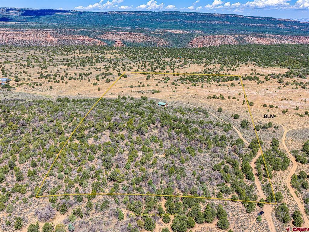 6519 Uncompahgre Divide Road Property Photo 30