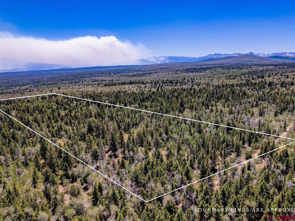 15283 Spring Creek Trail Property Photo 3