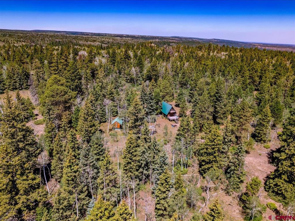 15283 Spring Creek Trail Property Photo 4
