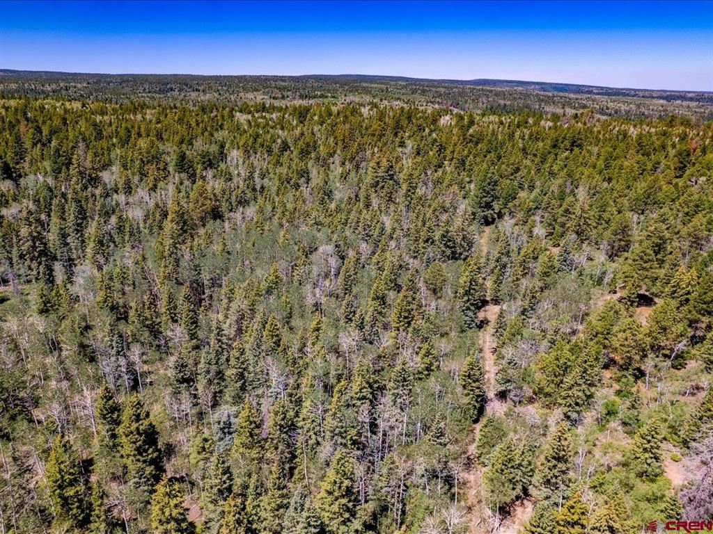 15283 Spring Creek Trail Property Photo 6
